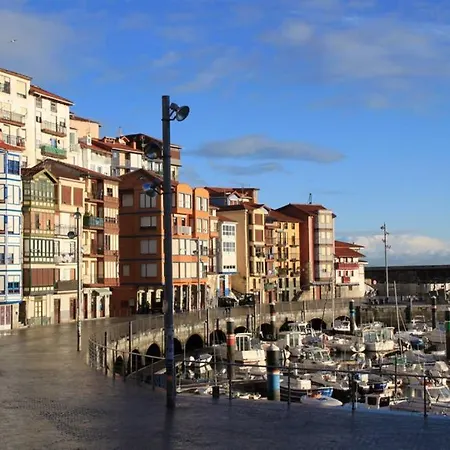 Sare Enea